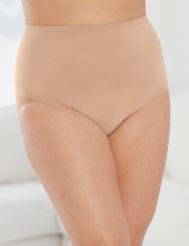 Flexees&reg; 13744 seamless brief