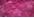 Fuschia