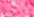 Petal Pink