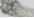 Silvertone