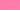 Fiesta Pink