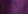 Imperial Purple