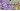Imperial Purple