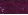 Bright Plum