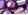 Imperial Purple