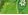 Tree Frog