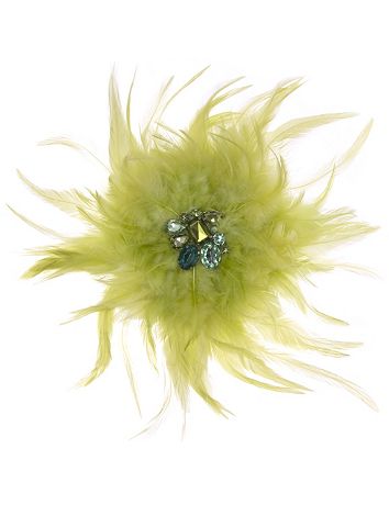 Feather and rhinestone pin by Lane Bryant