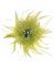 Feather and rhinestone pin by Lane Bryant