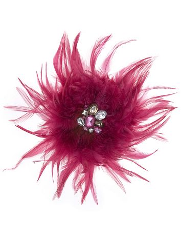 Feather and rhinestone pin by Lane Bryant