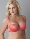 Push up demi bra