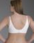Plus size back smoothing bra in sizes 36C-46DDD