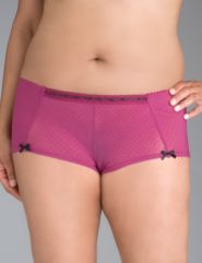 Mesh boyshort
