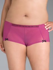 Mesh boyshort