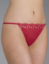 Ruby Red embroidered mesh g-string