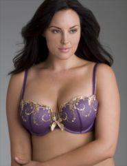 Imperial purple demi bra