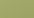 Turtle Green