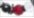 Tango Red