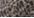 Animal Print