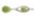 Macaw Green