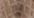 Champaign Beige