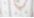 Floral Print