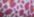 Pink Animal Print