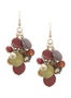 Lane Bryant Smooth shell cluster earrings by - /Multi Color - Size
