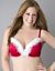 Plus size santa plunge bra