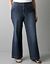Plus size denim Trouser jean by Lane Bryant