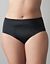 Full figure Swim hipster in sizes 14 to 28
