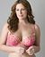 Honeysuckle embroidered plunge bra