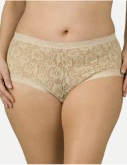 Sheer lace boyshort