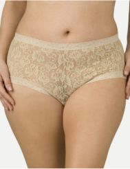 Sheer lace boyshort
