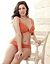 Plus size Luxury lace trim hipster panty