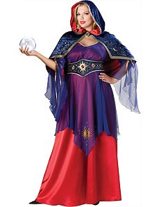 Mystical Sorceress Plus Adult Costume by In Character Costumes