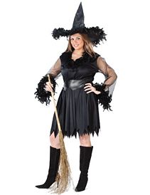 Sexy Feather Witch Plus Adult Costume by Fun World