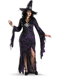 Sorceress Plus Adult Costume by Disguise