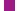 FUSCHIA