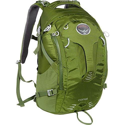 FERN GREEN