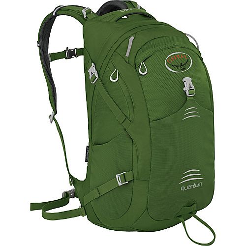 FERN GREEN