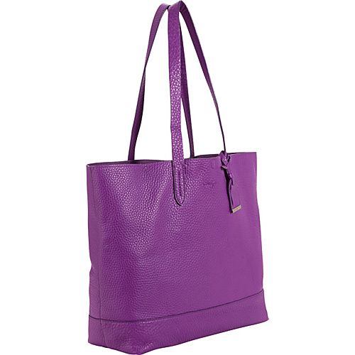 ASTER PURPLE