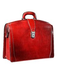 Old Leather Partner's Brief by Bosca