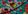 JADE TROPICAL PRINT