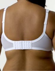 Bra extender—3 hooks