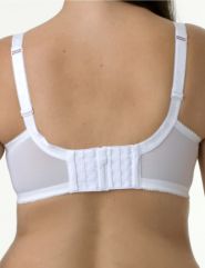 Bra extender—4 hooks