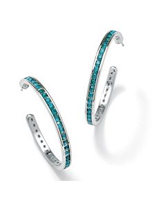 Silvertone Birthstone Earrings by PalmBeach Jewelry