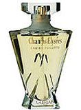 CHAMPS-ELYSEES