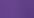 Petunia Purple