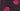 NAVY AND MAGENTA