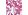 FUCHSIA/WHITE